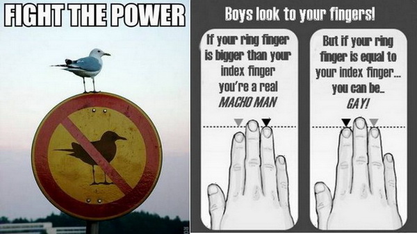 funnypictures10.jpg